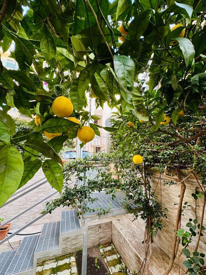 Ferdirisa Vesuvio Home&Garden San Giorgio a Cremano Eksteriør bilde